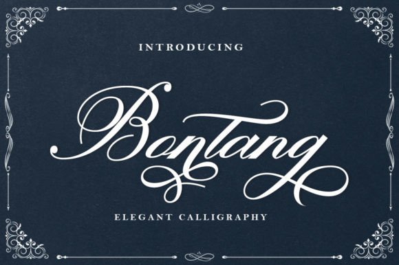 Bontang: A Dazzling Script Handwritten Font for Professional Design