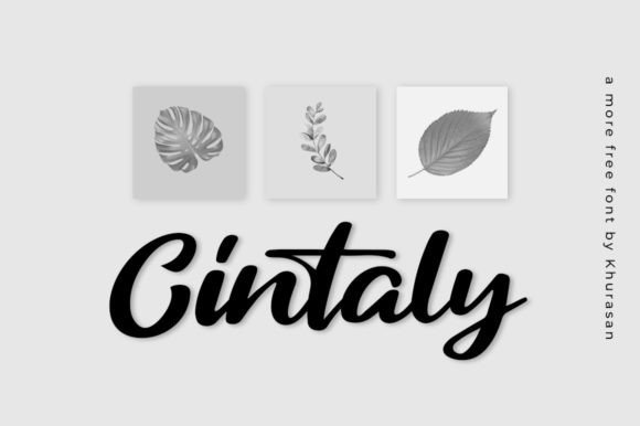 Cintaly Font: A Modern Script Typeface for Campaign Design